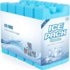 Anstore Freezer Blocks, 6 Pack Reusable Ice Cooler Blocks Ice Pack for Cool Bag Cool Box Ice Box