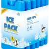 Anstore Freezer Blocks, 6 Pack Reusable Ice Cooler Blocks Ice Pack for Cool Bag Cool Box Ice Box